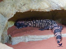 Haus des Meeres 4.02.2026